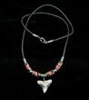 Fossil Bull Shark Tooth Necklace #3538-1